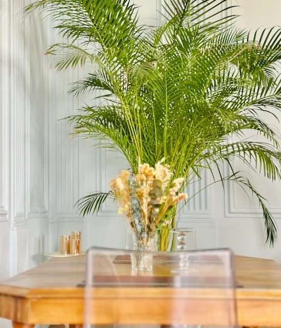 Hébergement original Narbonne — palmier et boiseries dorées suite Sarah Bernhardt